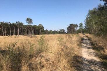 تختخواب و صبحانه Chalet Heggemus Oisterwijk