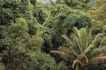 پانسیون Diver Village Ilhabela