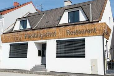 호스텔 Der Piestingerhof