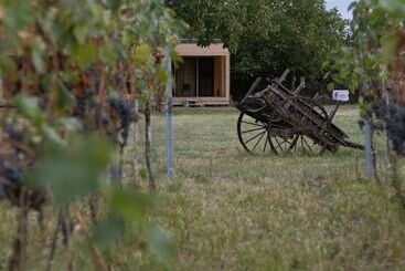 تختخواب و صبحانه Chubini Winery & Cabins