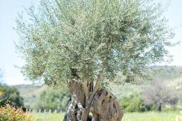 تختخواب و صبحانه Luccicamare Family Run Beb