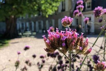 پانسیون Domaine Saint Hilaire