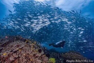 Ultra Mint Dive Resort