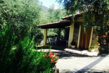 تختخواب و صبحانه Casa Vacanze Uliveto