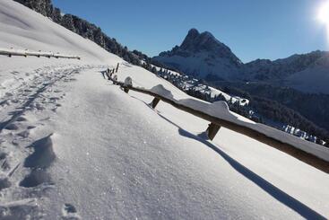 Residence Alpenrose
