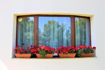 Pensiunea Nobila