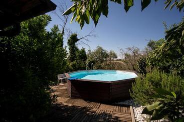 Trecentolivi B&b