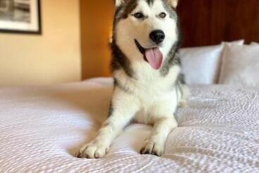هتل Four Points By Sheraton Kelowna Airport