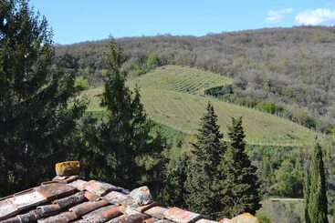 Hotel wiejski Borgo Castelvecchi