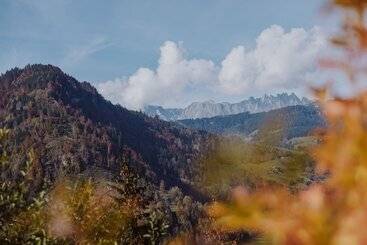 酒店 Berghof   St Johann In Salzburg