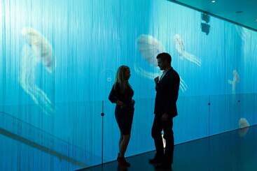 Art Otel Amsterdam, Powered By Radisson Hotels