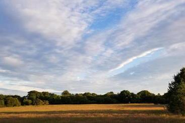 Hawthorn Self Catering Cottages