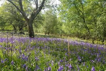 Hawthorn Self Catering Cottages