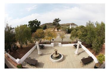 پانسیون Langberg Guest Farm