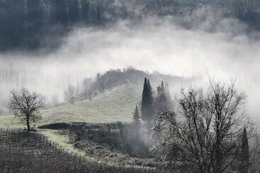 استراحتگاه Agriturismo Bio Fattoria Bacio