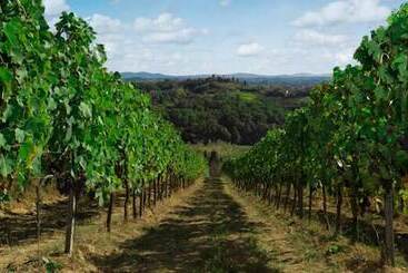 استراحتگاه Agriturismo Bio Fattoria Bacio