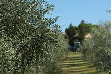 استراحتگاه Agriturismo Bio Fattoria Bacio