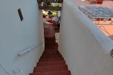 تختخواب و صبحانه Summer Paradise