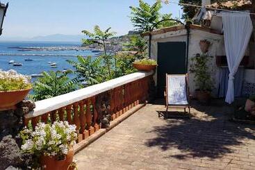 تختخواب و صبحانه Summer Paradise