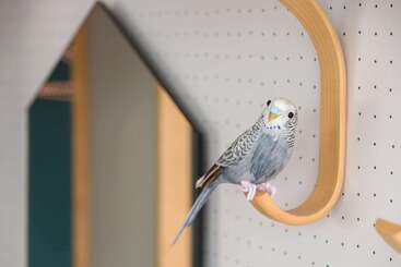 ホテル Comwell Aarhus Dolce By Wyndham