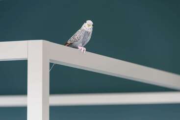 ホテル Comwell Aarhus Dolce By Wyndham