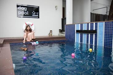هتل Ketawa Pet Friendly