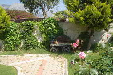 Minta Apart