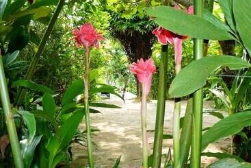 هتل Mealea Resort