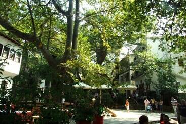 هتل The Lotus Tree