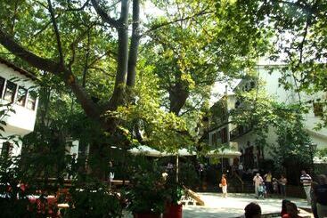 هتل The Lotus Tree