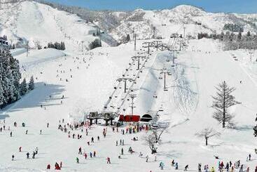 هتل Green Plaza Joetsu
