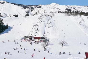 هتل Green Plaza Joetsu