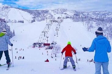 هتل Green Plaza Joetsu