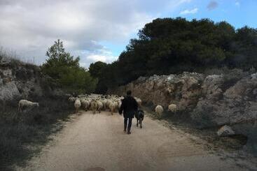 هتل Le Capase Resort Salento