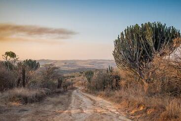 호텔 Tala Game Reserve