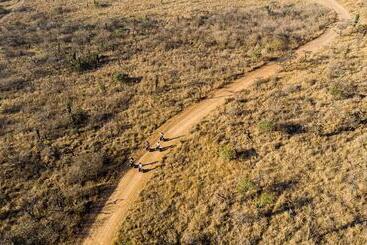 호텔 Tala Game Reserve