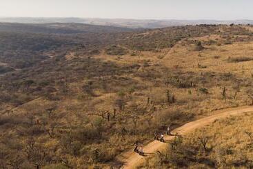 호텔 Tala Game Reserve
