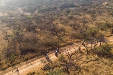 호텔 Tala Game Reserve