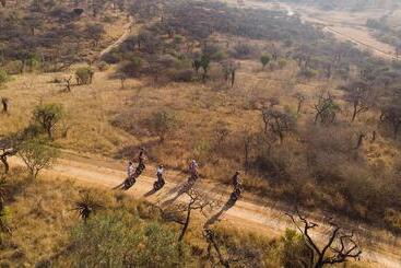 호텔 Tala Game Reserve