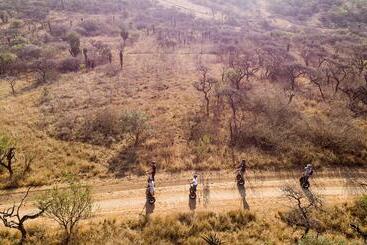 호텔 Tala Game Reserve