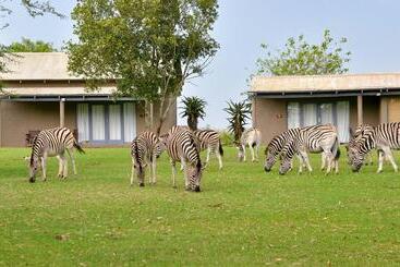 호텔 Tala Game Reserve