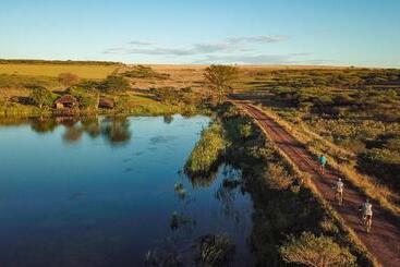 호텔 Tala Game Reserve