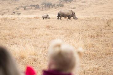 호텔 Tala Game Reserve
