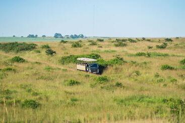 호텔 Tala Game Reserve