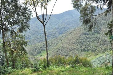 هتل Nyungwe Nziza Ecolodge