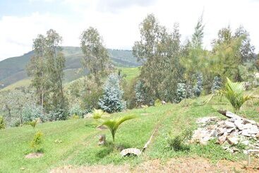 هتل Nyungwe Nziza Ecolodge