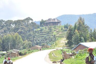 هتل Nyungwe Nziza Ecolodge