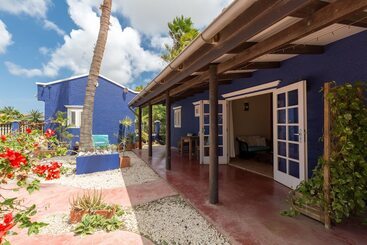 هتل Blachi Koko Apartments Bonaire