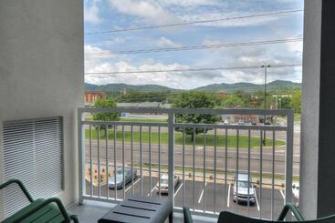 هتل Holiday Inn & Suites Pigeon Forge Convention Center, An Ihg