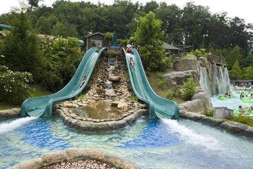 هتل Holiday Inn & Suites Pigeon Forge Convention Center, An Ihg
